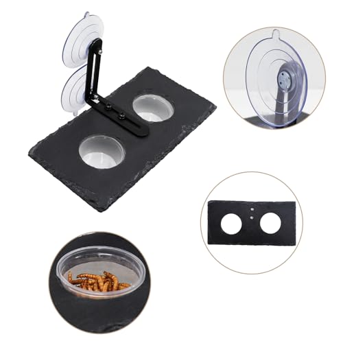 Reptile Tank Accessories, Slate Gecko Feeding Ledge with Suction Cups, Crested Gecko Food Dish, Food Bowl and Water Dish for Gecko, Chameleon, Frog and Other Small Reptile
