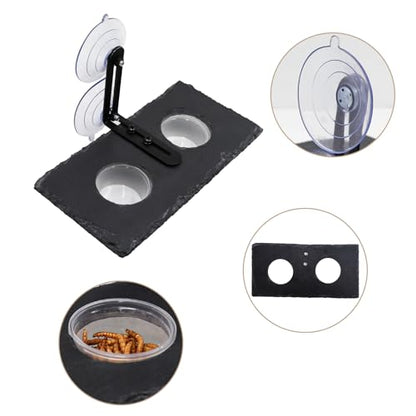 Reptile Tank Accessories, Slate Gecko Feeding Ledge with Suction Cups, Crested Gecko Food Dish, Food Bowl and Water Dish for Gecko, Chameleon, Frog and Other Small Reptile