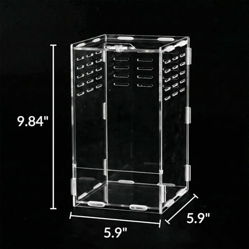 9.8 Inch Jumping Spider Enclosure, Desktop Micro Terrarium, Breeding Box, 360° Clear Acrylic Insect Habitat, 3-Side Ventilation, Easy Assembly, for Mantis, Tarantula, Snail, Small Reptiles, Plants