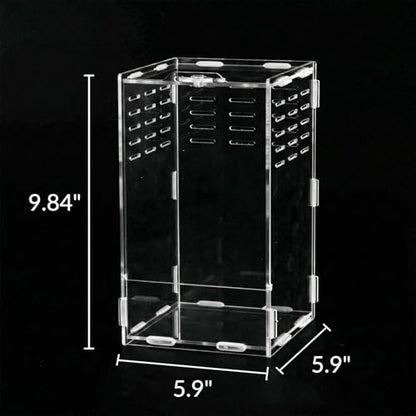 9.8 Inch Jumping Spider Enclosure, Desktop Micro Terrarium, Breeding Box, 360° Clear Acrylic Insect Habitat, 3-Side Ventilation, Easy Assembly, for Mantis, Tarantula, Snail, Small Reptiles, Plants