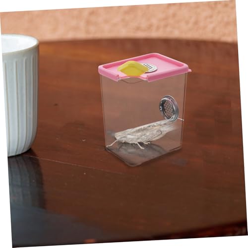 BESPORTBLE 1pc Acrylic Reptile Feeding Box Ventilation Pet Breeding Habitat Safe and Comfortable Terrarium for Spiders and Other Pets Approx Color Varies