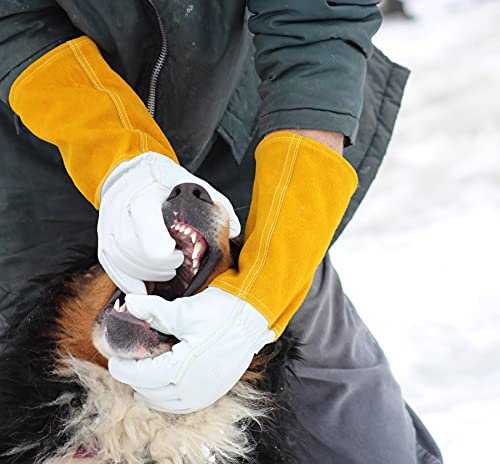 Suse's Kinder Animal Handling Gloves Leather Padding Dog,Cat Scratch,Bird Falcon Gloves Grabbing Reptile Squirrel Snake Bite - color: Yellow/White, size: Large (Pack of 2)