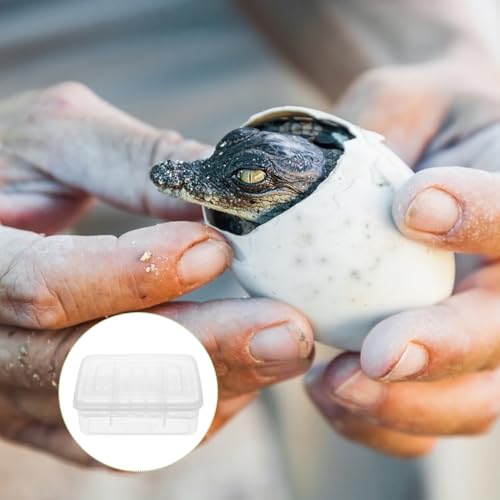 Reptile Egg Incubator Tray 16 Compartments Transparent Hatchery Box for Tortoise Lizard Snake Breeding 6.57 X 4.84 X 2.36 in 2-Pack