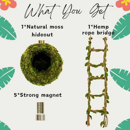 Jumping Spider Hideout, Habitat Decor— Handmade Moss Hideout & Hemp Rope Bridge, Fun Enclosure Accessories for Climbing & Hiding