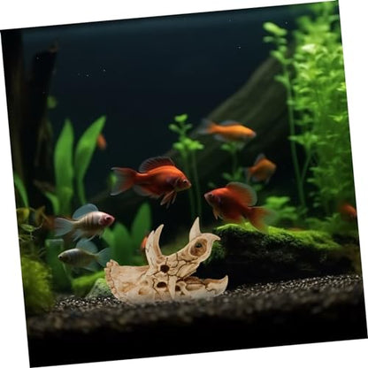 POPETPOP Resin Dinosaur Skull Aquarium Hideout for Shrimp and Reptiles Tank Decor for Freshwater and for Terrarium Landscapes and Boys and Girls Rooms