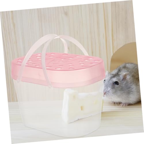 SUPVOX 2pcs Portable Small Pet Carriers Handheld Hamster Boxes Turtle Reptile Cages Plastic Travel Cases for Small Animals