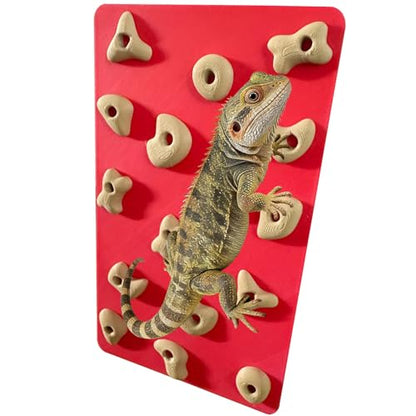 Mini Reptile Rock Climbing Wall, Terrarium Enclosure Enrichment & Habitat Décor for Bearded Dragons, Geckos, Lizards, Snakes, Tree Frogs and Small Amphibians (Red & Beige)