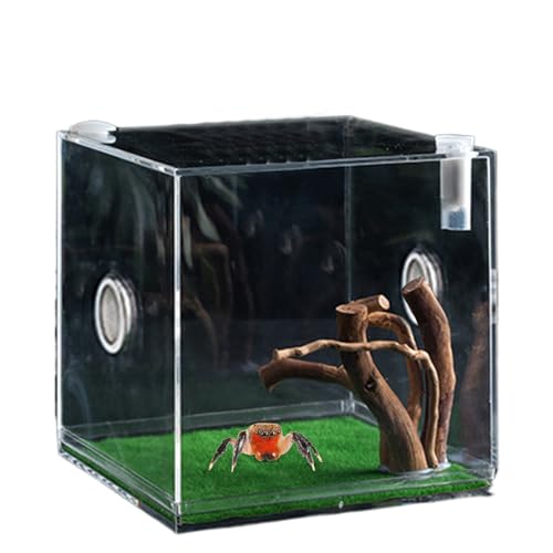 Reptile Growth Terrarium - Acrylic Jumping Spider Clear Container, Clearer View Small Pet Enclosure, Practical Convenient Spacious Habitat, Durable Housing Design Versatile Use | for Snails Lizards Be - color: Aqua