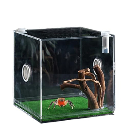 Reptile Growth Terrarium - Acrylic Jumping Spider Clear Container, Clearer View Small Pet Enclosure, Practical Convenient Spacious Habitat, Durable Housing Design Versatile Use | for Snails Lizards Be - color: Aqua