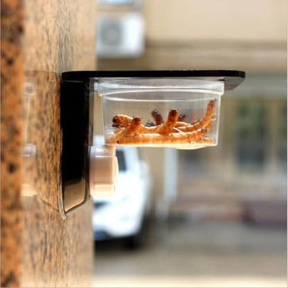 Double Crested Gecko Feeding Ledge with 10 Pcs 0.5oz Bowls & Detachable Suction Cup – Reptile Food & Water Dish Feeder for Lizards, Geckos, Chameleons, Turtles in Terrariums & Breeding Tanks