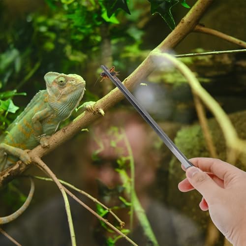 2Pcs Reptile Feeding Tongs with Rubber Tip, 10.6 Inch Stainless Steel Straight and Curved Extra Long Tweezers for Aquarium, Snakes, Turtles, Salamanders, Lizards Feeding (2 pcs)