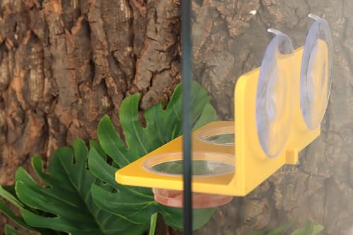 Crested Gecko Feeding Ledge with 10PCS Gecko Food Water Dish - Yellow - color: Yellow
