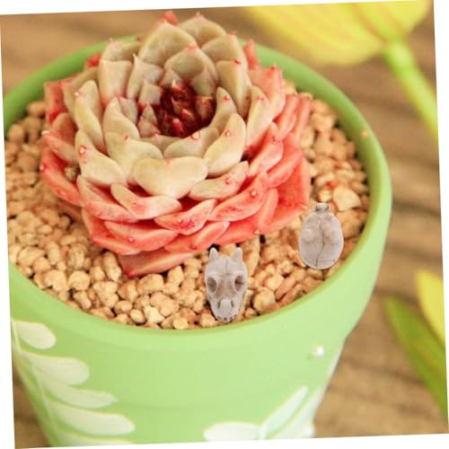 jojofuny 20pcs Resin Mini Dragon Skull Yard Ornaments for Outdoor Garden Lawn Decoration, Small Skull Figurines for Fish Tank and Terrarium, Dragon Head Resin Sculptures