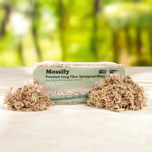 Mossify Premium Sphagnum Moss for Plants 50g, 1.8 Oz - Long Fiber Moss for Plants Indoor, Orchids, Terrariums, Gardening, Reptiles – Moisture Plant Moss for Propagation, Soil & Habitat Bedding - size: 50g (1.8 oz)