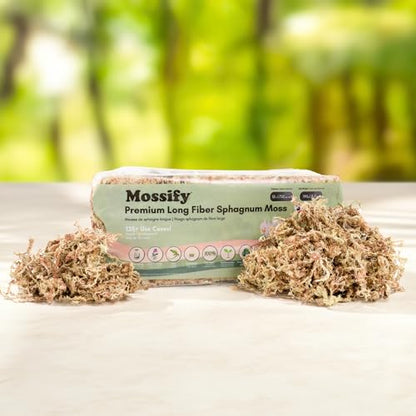 Mossify Premium Sphagnum Moss for Plants 50g, 1.8 Oz - Long Fiber Moss for Plants Indoor, Orchids, Terrariums, Gardening, Reptiles – Moisture Plant Moss for Propagation, Soil & Habitat Bedding - size: 50g (1.8 oz)