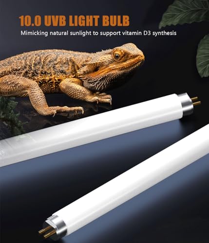 12 Inch T5 Reptile UVB Light Tube 8W 10.0 UVA UVB Reptile Bulb Tropical Desert Habitat Lighting for Bearded Dragon Chameleon Lizard Turtle Tortoise, 1 Pack - size: 10.0 UVB 1-Pack