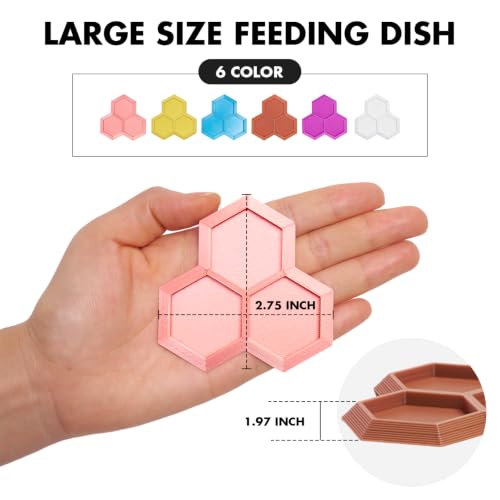 Dubia Roach Large Feeder Bowl, 6 PCS Isopod Food Dish, 3 in 1 Colorful Feeding Water Dish for Live Roach, Isopod, Springtails & Dwarf Invertebrates - color: 6 PCS Dubia Feeding Dish