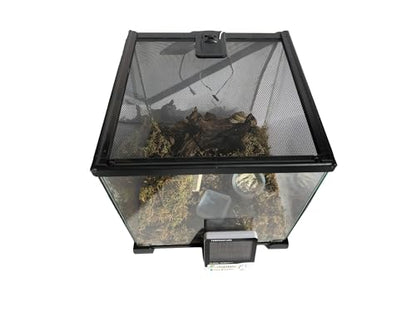Terrarium Pro Kit – The Ultimate Snail Care Starter Pack for Giant African Land Snails, Helix Aspersa, Helix Pomatia, Grove Snails, etc