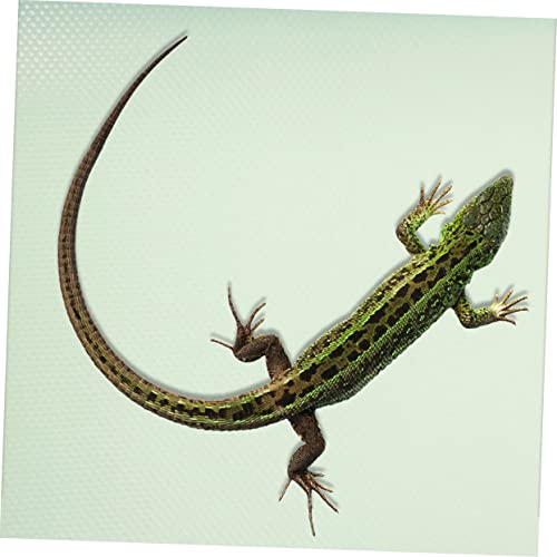 Garneck Eva Reptile Carpet for Snake Cage Bearded Dragon Tank Mat Tortoise Substrate Liner - color: Light Green
