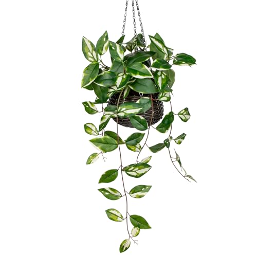 Oairse Artificial Hanging Plants Fake Hanging Plants with Pots Faux Golden Pothos N‘ Joy Potted Plant Wall Plant with Basket Pot for Wall Shelves Bedroom Bathroom Indoor Outdoor - color: Golden Pothos