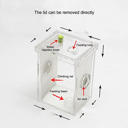 Reptile Enclosure Tank, Mini Acrylic High Transparency Moisturizing Reptile Breeding Box, Acrylic Reptile Cage Terrarium Tank for Tarantula Scorpion Sling Isopods(L)
