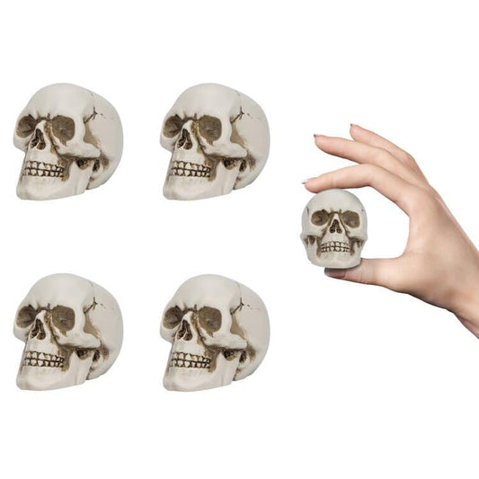 READAEER Resin Skull 4 pcs/Set, Mini Skull Model for Home Decoration, Halloween Skull Statue, Human Skull Head Bone Model for Desktop