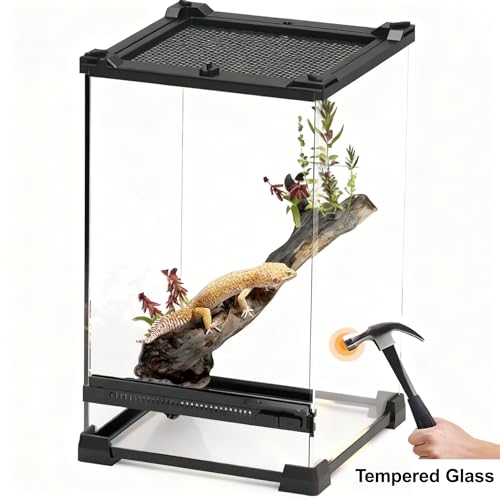 Reptile Tall Glass Terrarium Rainforest Habitat Single Door with Screen Ventilation,Small Reptile Terrarium for Spiders, Tarantulas, Snail, Mantis, Lizard (8 * 8 * 12 inch) - size: 8*8*12 inch