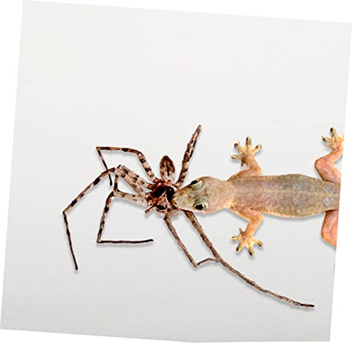 Garneck Reptile Carpet Mat for Leopard Gecko Lizard Snake and Turtle Sturdy Terrarium Substrate Bedding for Reptile Tanks Easy to Clean and Maintain - color: White