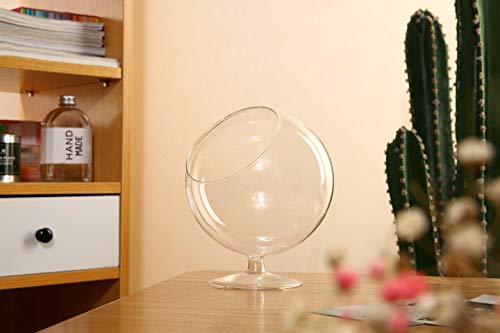 WGV Planter Terrarium with Stand, Ball Diameter 4" Height 5", Clear Glass Floral Container Vase, DIY Succulents Outdoor Garden Home Office Decor Slant Cut Orb, 1 Piece - size: 4"D