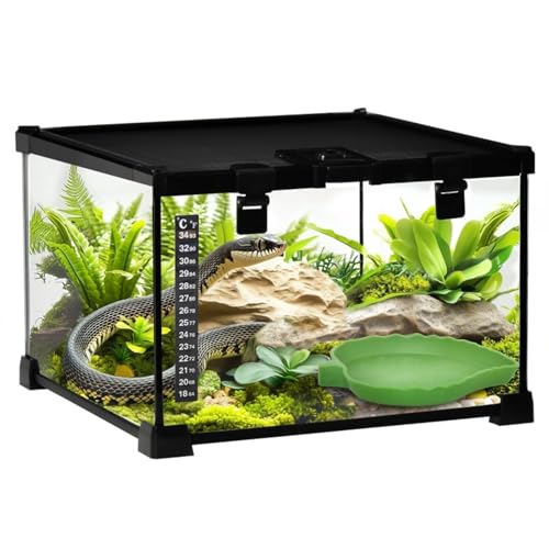 Glass Terrarium Reptile Terrarium Breeding Tank with Leakproof Base and Raised Frame