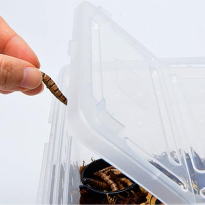 Reptile Breeding Box Reptile Feeding Box Breeding Hatching Container Pet Houses Faunarium(White) - color: White