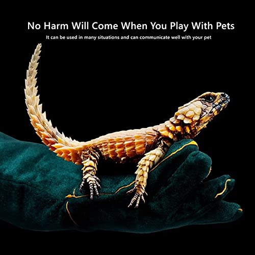 23inch Animal Handling Gloves, Animal Control Gloves Bite Resistant Snake Proof Cowhide Reinforced Leather Protection Dog Training Glove for Cats Scratch Reptiles Birds Falcon Grabbing - color: Green（23.62"）