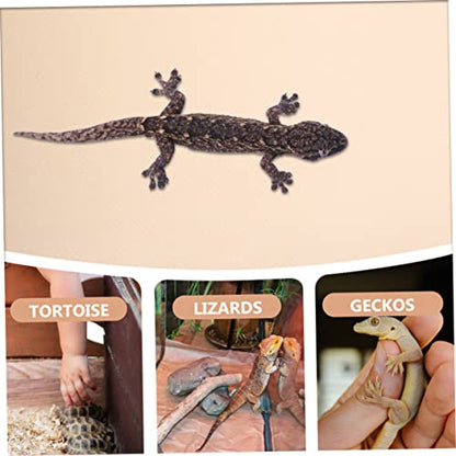 POPETPOP Eva Reptile Carpet for Tortoise and Lizards Non- Eva Substrate Mat Terrarium Liner for Bearded Dragon and Leopard Tanks Lotus - color: Beige