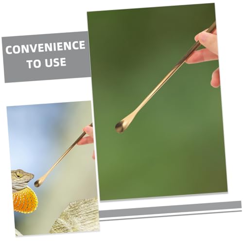 Mikikit 3Pcs Reptile Food Feeding Tool Spoon for Gecko Lizard for Wet Food Mixing Stirring Durable Pet Supply for Easy Feeding