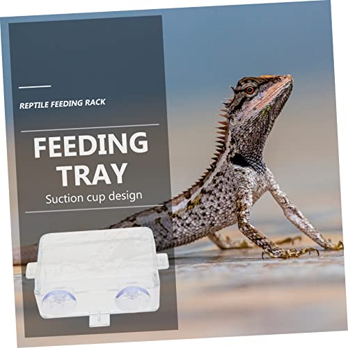 BESPORTBLE 2PCS Reptile Feeding Bowls Suction Cups Washable Lizard Food and Water Dishes Escape-Proof Reptile Feeders for Bearded Dragons Geckos Tortoises