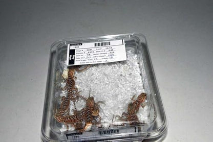 Nature Zone HerpPro Hatch Kit Hatching Reptile Eggs, Lizards, Snakes, Pythons, Tortoises, Turtles