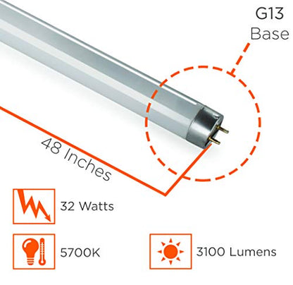 GoodBulb 32-Watt 48-Inch T8 Fluorescent Light Bulb 5700K Daylight White Color Medium Bi-Pin Base 3100 Lumens 88 CRI 24000 Life Hours Instant/Programmed Start Pack of 30 - color: 5700k