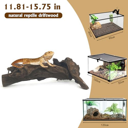 Hamiledyi 5 Pcs Reptile Plants Terrarium Hanging Fake Plant Leaves and Large Driftwood for Reptile Tank 11-16" Natural Bearded Dragon Wood for Ball Python Gecko Lizard Chameleon Iguana