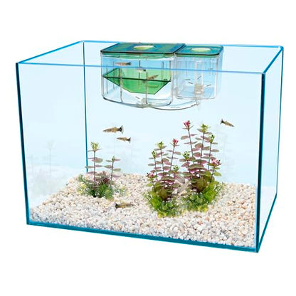 Penn-Plax AN2 Aqua Nursery and Hatchery Breeding Box for Your Aquarium - Help Protect Baby Fish from Predators