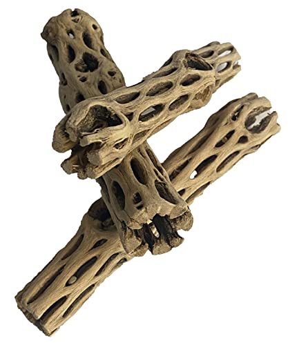 Awesome Aquatic Natural Cholla/Choya Wood 3 Pieces 6” for Shrimp Habitat and Food Treat Hermit Crabs Plecos Aquarium Decoration Lowers pH Hideouts and Chew Toys Reptiles Thorn Free Dried Organic - size: 3 pc 6 inch