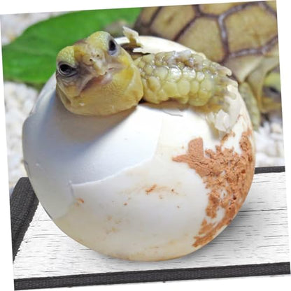 BESPORTBLE Heating Mat for Reptiles and Small Animals 12 x 18 Waterproof PET Heating Pad Reflective Film for Turtles Frogs and Other Crawling Pets - size: 16.00X16.00X0.10CM