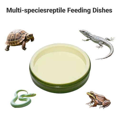 2 Pack Snail Water and Food Bowl，atural Design Food Bowl for Pet Snails, Garden Snails Pet Land Snail Terrarium Supplies - color: green