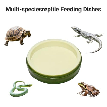 2 Pack Snail Water and Food Bowl，atural Design Food Bowl for Pet Snails, Garden Snails Pet Land Snail Terrarium Supplies - color: green