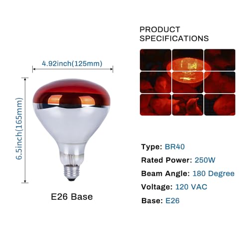 250 Watts Heat Lamp Bulbs, R40 Brooder Heat Lamp Bulbs for Chickens, Infrared Reflector Heat Bulbs for Brooder Heater, Incandescent Heating bulb for Chicks, Pet, Light Therapy, Bathroom, Food (1 Pack) - size: 1 Count (Pack of 1)