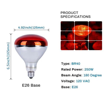 250 Watt Heat Lamp Bulbs for Chicks, R40 Brooder Heat Lamp for Chickens, Infrared Reflector Heat Bulbs for Brooder Heater, Incandescent Spotlight for Pet, Bathroom, Food (2 Pack)