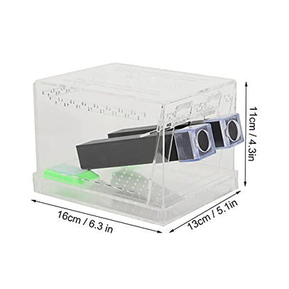 Cricket Keeper with Tubes, High Transparency Acrylic Material Cricket Keeper for Office for Home(L)