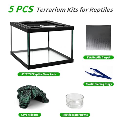 Mini Reptile Glass Tank 8 * 8 * 6inch Terrarium for Start with Top Ventilation for Turtle,Spider,Hermit Crab,Geock,Frog AMD Beard Dragon