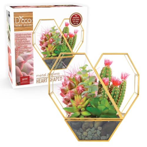 D'Eco Glass Heart Centerpiece (8x8x2.5)- Tabletop Planter Terrarium - Spring Home Decor & Wedding Letterbox - Fill with Succulents, Cacti, Air Plants, Moss, Flowers for Plant Lovers - size: Heart