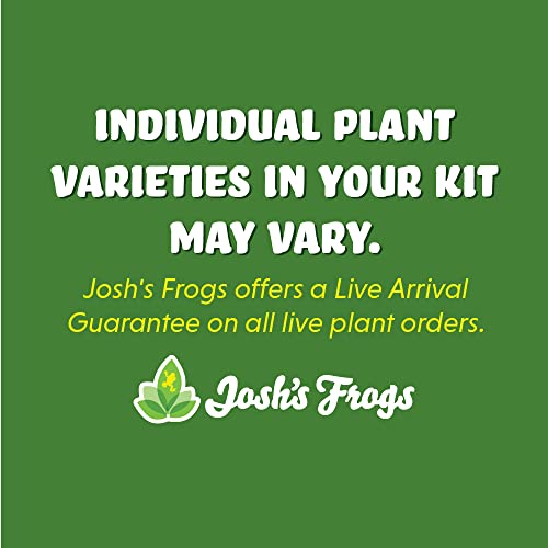 Josh's Frogs Desert Plant Kits for Arid Bioactive Terrariums (Medium) - size: Medium