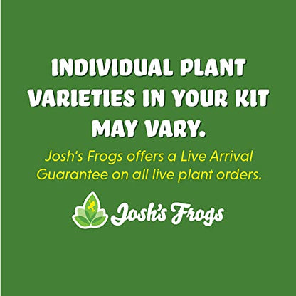 Josh's Frogs Desert Plant Kits for Arid Bioactive Terrariums (Medium) - size: Medium